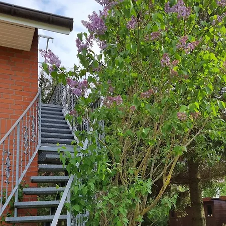 Apartment Tannenblick-mv *